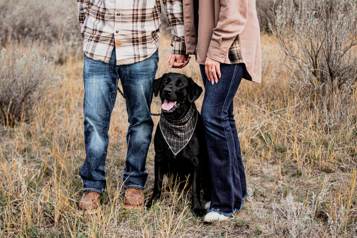 2-Hour Photography Session - Bismarck, North Dakota, 100-Mile Radius